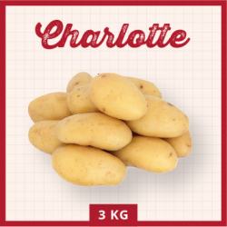 Charlotte 3 KG