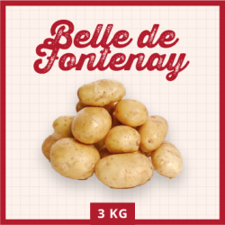 Belle de Fontenay 3 KG