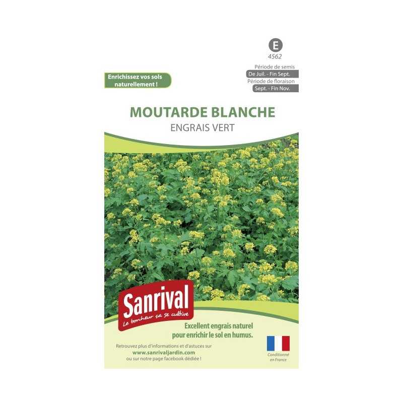 Moutarde blanche