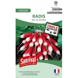 Radis De 18 jours