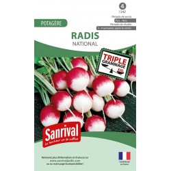 Radis National rond rose à...