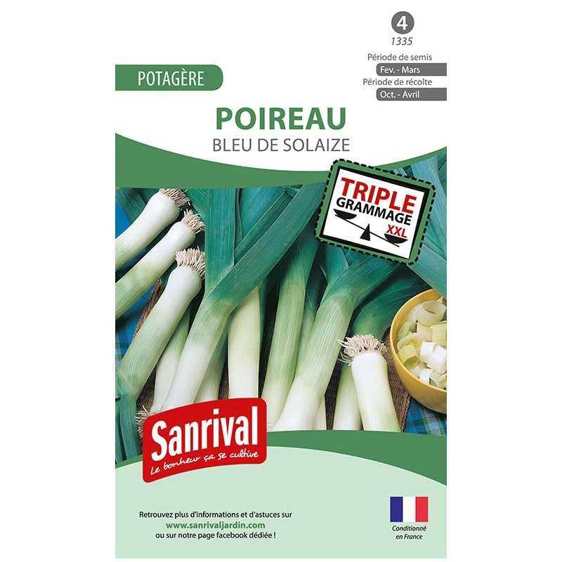 Graines de Poireau Bleu de Solaize