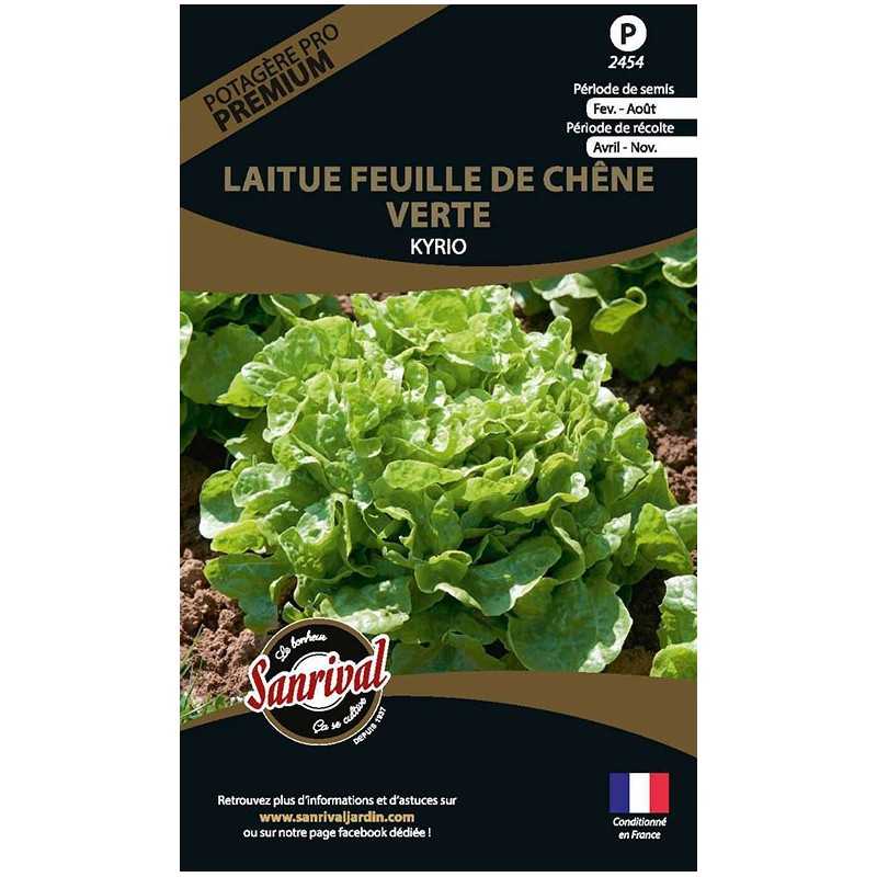 graines de Laitue Feuille de Chêne Verte Kyrio