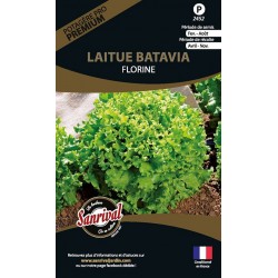 graines de Laitue Batavia Florine