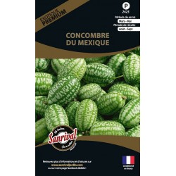 graines de Concombre du Mexique