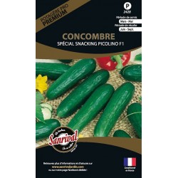 graines de Concombre Spécial Snacking Picolino F1