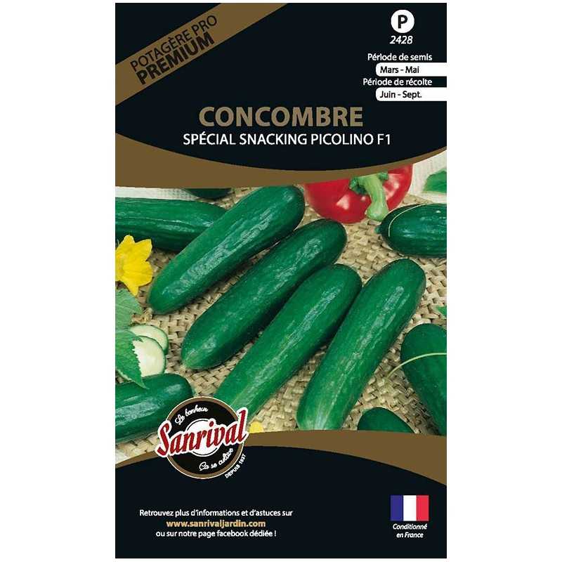 graines de Concombre Spécial Snacking Picolino F1