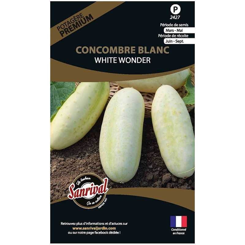 graines de Concombre Blanc White Wonder