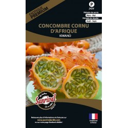 Concombre Cornu Afrique Kiwano