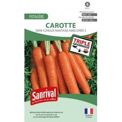 graines de Carotte demi-longue Nantaise am&eacute;lior&eacute;e 3