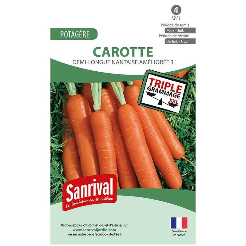 graines de Carotte demi-longue Nantaise améliorée 3 graines de Carotte demi-longue Nantaise améliorée 3