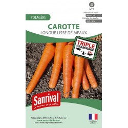 graines de Carotte longue lisse de Meaux