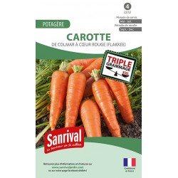 Graines de carottes de Colmar &agrave; c&oelig;ur rouge (Flakkee)