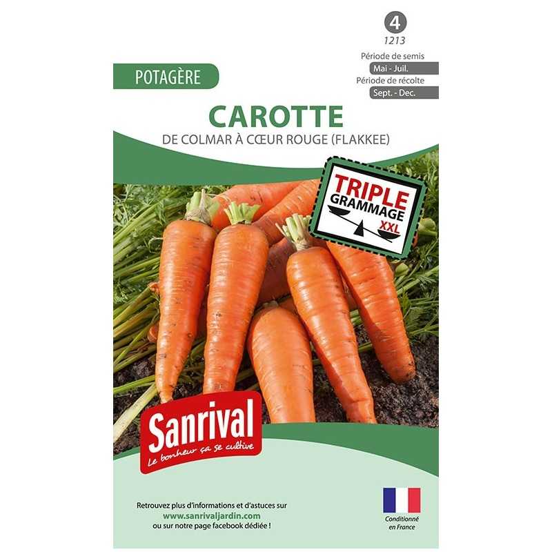 Graines de carottes de Colmar à cœur rouge (Flakkee)