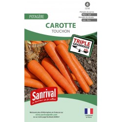 graines de Carotte Touchon