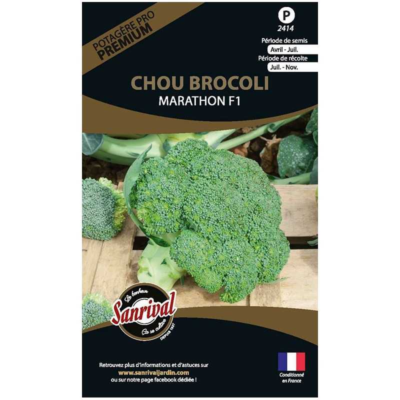 Graines De Chou Brocoli Hybride F1 Marathon - 0,2 G - LES GRAINES BOCQUET - Pour Potager Printemps/Automne
