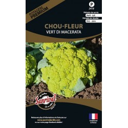 graines de Chou-Fleur Vert Di Macerata