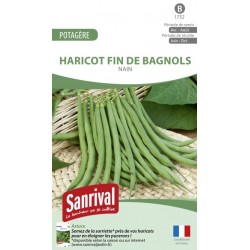 Graines de Haricot Fin de Bagnols nain