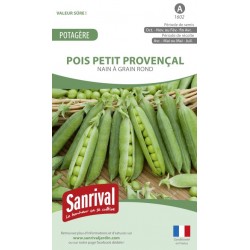 Graines de Pois Petit provençal