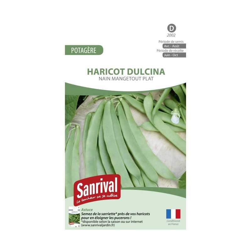 Graines de Haricot Dulcina nain mangetout plat