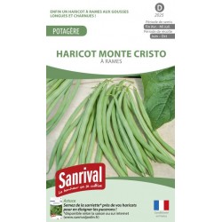 Graines de haricot Monte Cristo mangetout à rames