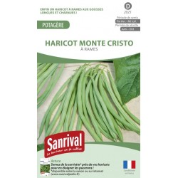 Graines de Haricot Monte Cristo