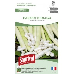 Graines de Haricot Hidalgo