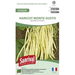 Graines de Haricot Monte Gusto beurre à rames