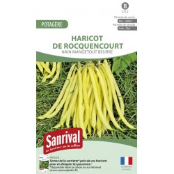 Graines de Haricot Rocquencourt
