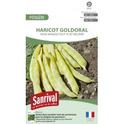 Graines de Haricot beurre plat Goldoral