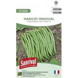 Graines de haricot Innovial nain mangetout sans fil