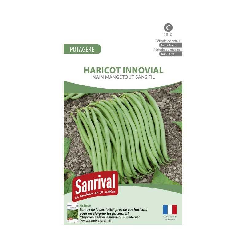 Graines de haricot Innovial nain mangetout sans fil