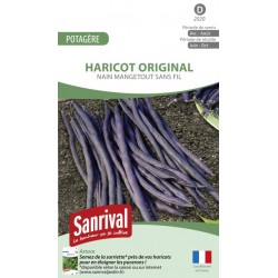 Graines de haricot Original violet nain mangetout sans fil