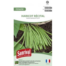 Graines de Haricot Récital nain mangetout