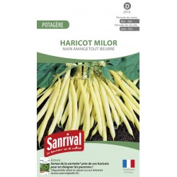 Graines de Haricot beurre nain mangetout Milor