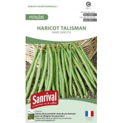 Graines de haricot Talisman nain sans fil