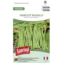 Graines d'Haricot Rugally