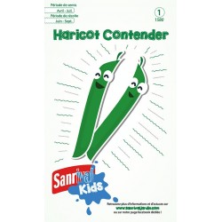 Graines de haricot Contender pour enfants