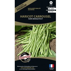 Graines de Haricot Carrousel nain mangetout