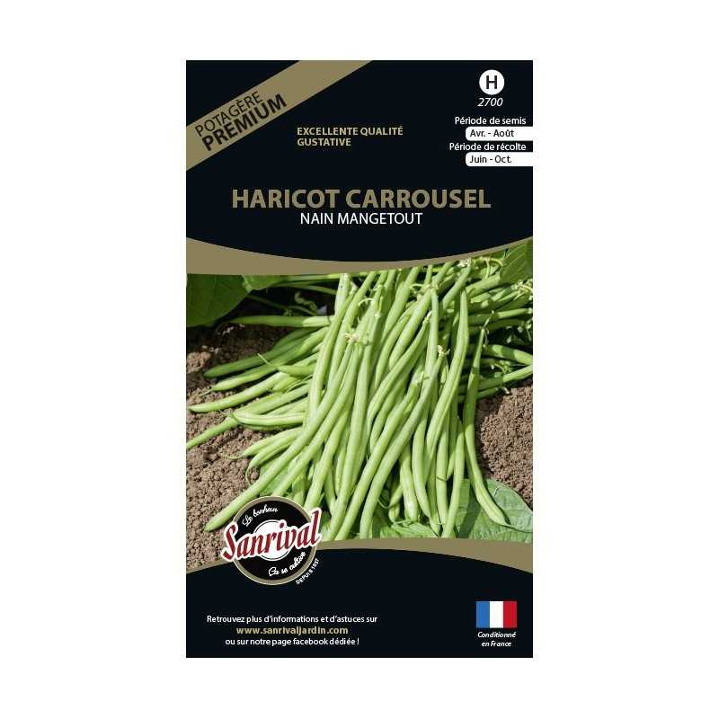 Graines de Haricot Carrousel nain mangetout