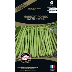 graines de Haricot Pongo Nain à filet sans fil