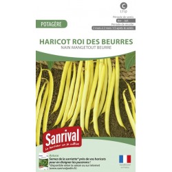 Graines de Haricot Roi des Beurres nain mangetout