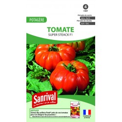 Graines de tomate Super Steak F1