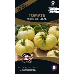 Graines de tomate White Beefsteak