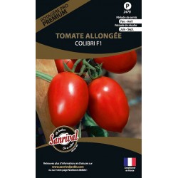 Graines de tomate Allongée Colibri F1