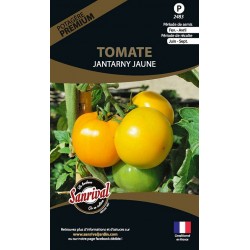 Graines de tomate Jantanary Jaune