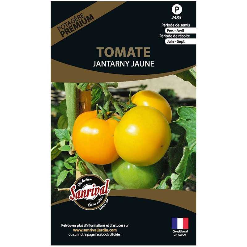 Graines de tomate Jantanary Jaune