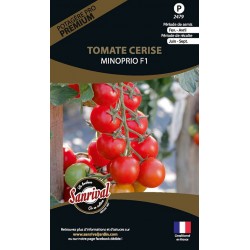 Graines de tomate Cerise Minoprio F1