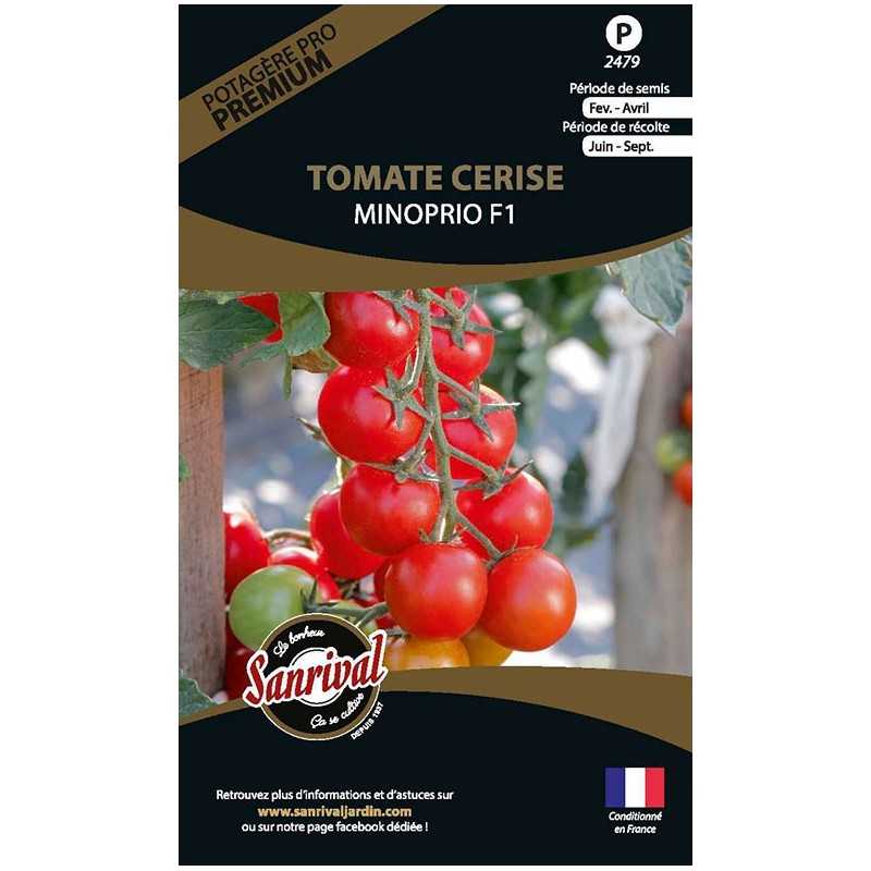 Graines de tomate Cerise Minoprio F1