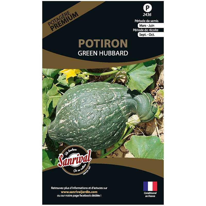 graines de Potiron Green hubbard